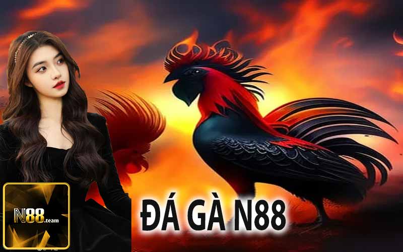 Đá Gà N88