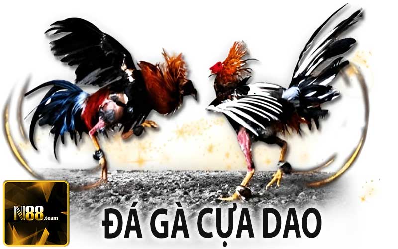 Đá Gà Cựa Dao