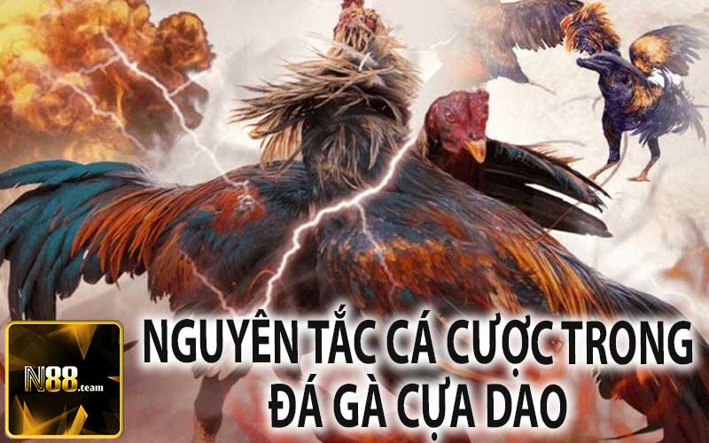 Nguyên Tắc Cá Cược Trong Đá Gà Cựa Dao