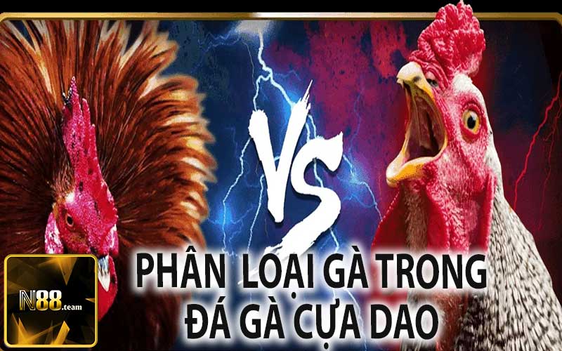 Phân Loại Gà Trong Đá Gà Cựa Dao